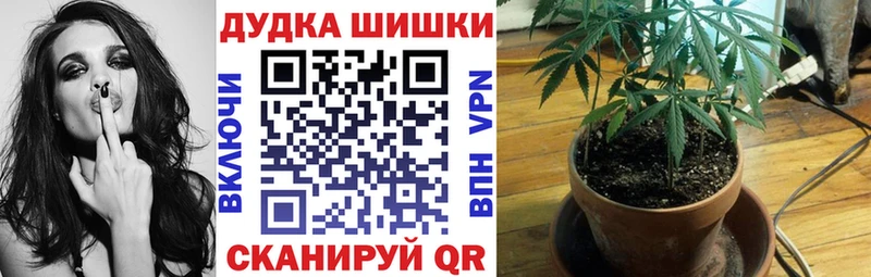 Наркошоп купить Экстази  Конопля  Меф мяу мяу  Гашиш  КОКАИН  Борисоглебск