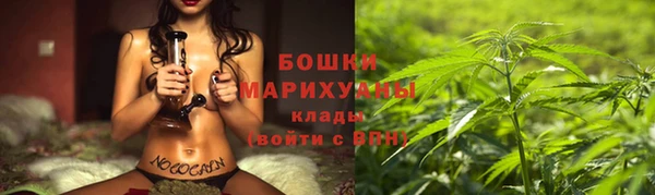 молекула духа Костерёво