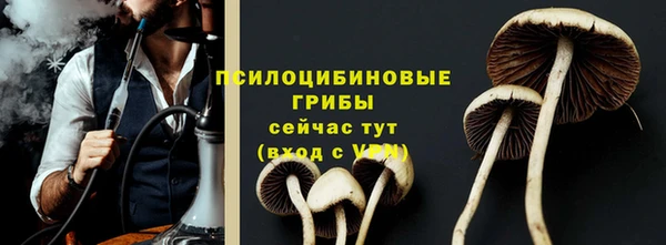 молекула духа Костерёво