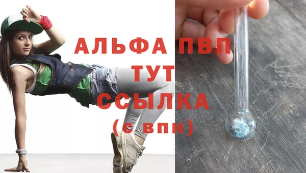 молекула духа Костерёво
