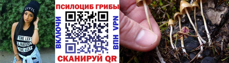 Псилоцибиновые грибы мухоморы  Купить закладки  Борисоглебск 
